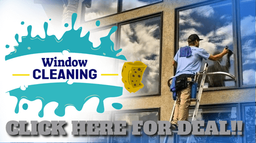 WINDOW CLEANING SM